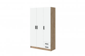 Шкаф 1200 мм Эконом без зеркала (Зарон) в Реж - rezh.mebel-e96.ru