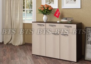 Комод Стандарт 4 NEW (БТС) в Реж - rezh.mebel-e96.ru