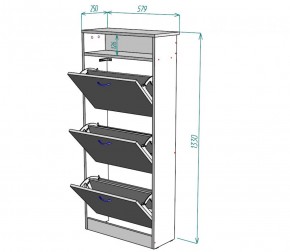 Обувница W9 (ДВ-Графит) в Реж - rezh.mebel-e96.ru