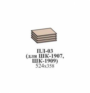 Полки ЭЙМИ ПЛ-03 (для ШК-1907, ШК-1909) Бодега белая в Реж - rezh.mebel-e96.ru | фото