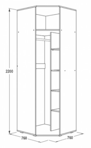 Шкаф 1-но дверный угловой Ольга-14 (760*760) в Реж - rezh.mebel-e96.ru