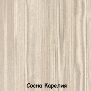 Шкаф 500 мм ДМ-03 Серия 2 (СВ) в Реж - rezh.mebel-e96.ru