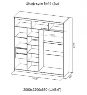 Шкаф-купе №19 Инфинити 2000 мм Ясень анкор светлый (СВ) в Реж - rezh.mebel-e96.ru