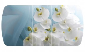 Стол Бостон-3 (Белая Орхидея) 1100/1420*700, опора Брифинг в Реж - rezh.mebel-e96.ru