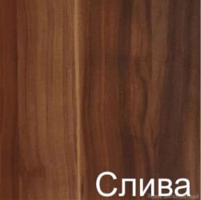 Стол-книжка (1-65) (ГК) в Реж - rezh.mebel-e96.ru