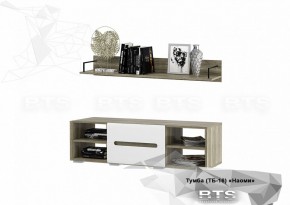 Тумба ТВ ТБ-16 Наоми (БТС) в Реж - rezh.mebel-e96.ru